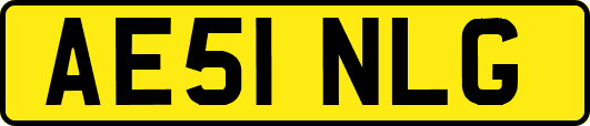 AE51NLG