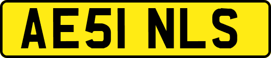 AE51NLS