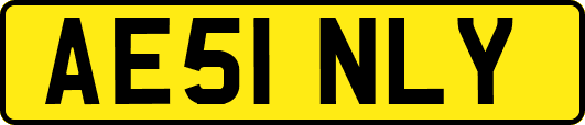 AE51NLY