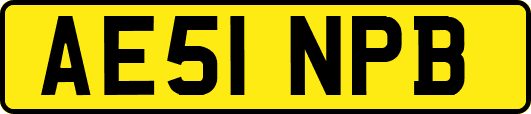 AE51NPB