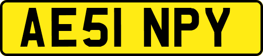 AE51NPY