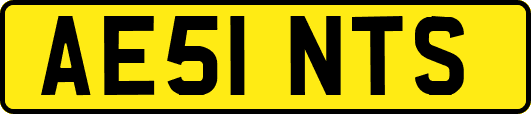 AE51NTS