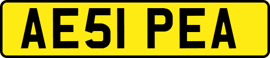 AE51PEA