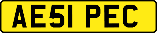 AE51PEC