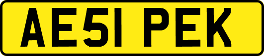 AE51PEK