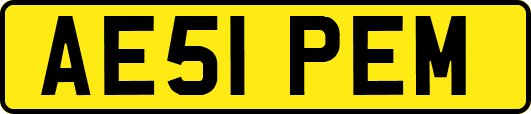 AE51PEM