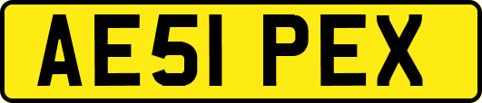 AE51PEX