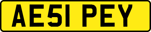 AE51PEY