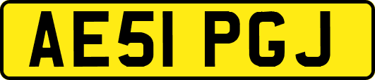 AE51PGJ