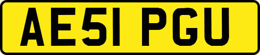 AE51PGU