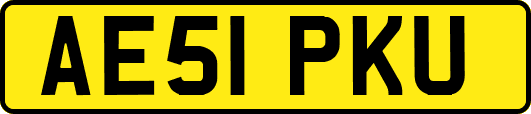 AE51PKU