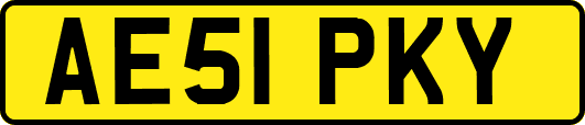 AE51PKY