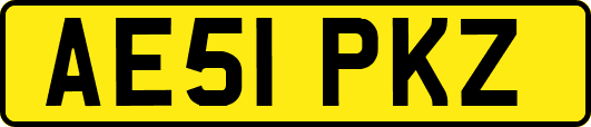AE51PKZ