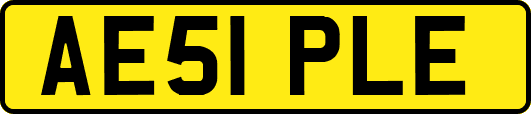 AE51PLE