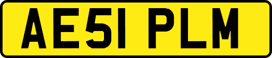 AE51PLM