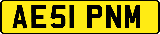 AE51PNM