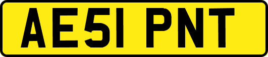 AE51PNT