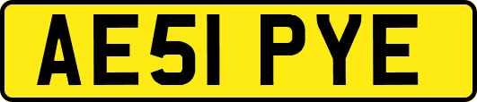 AE51PYE