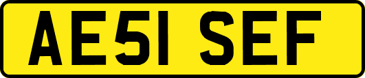 AE51SEF