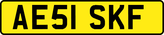 AE51SKF