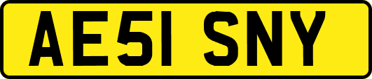 AE51SNY