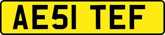 AE51TEF
