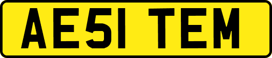 AE51TEM