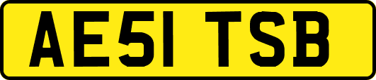 AE51TSB