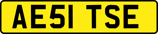 AE51TSE