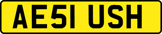 AE51USH