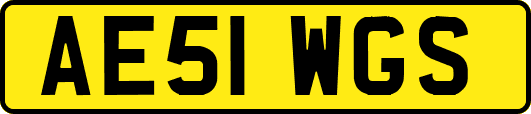 AE51WGS