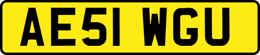 AE51WGU