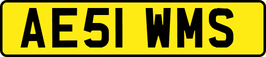 AE51WMS