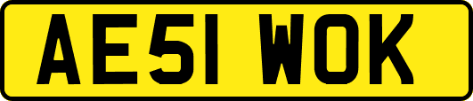 AE51WOK