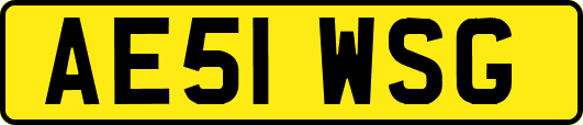 AE51WSG