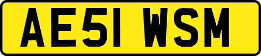 AE51WSM
