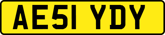 AE51YDY