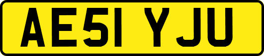 AE51YJU