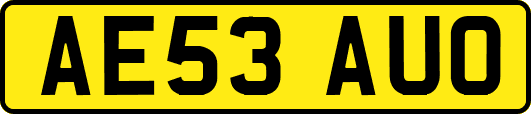 AE53AUO