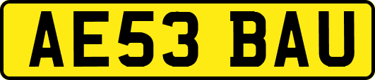 AE53BAU
