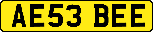 AE53BEE