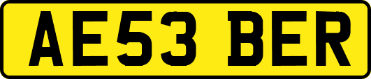 AE53BER