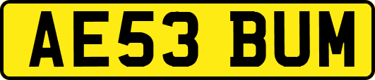 AE53BUM