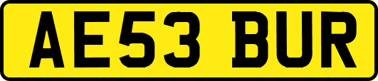 AE53BUR