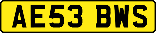 AE53BWS