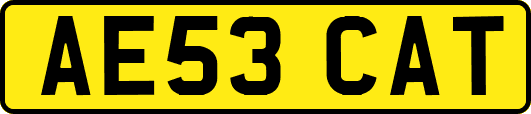 AE53CAT
