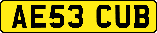 AE53CUB