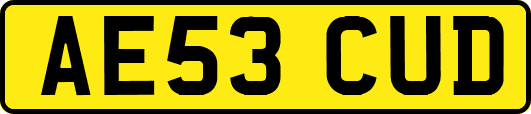 AE53CUD