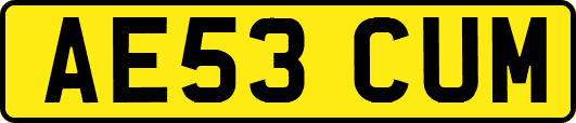 AE53CUM