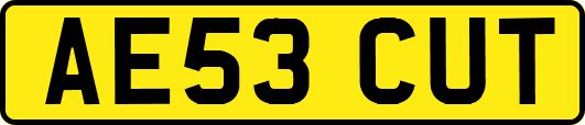 AE53CUT